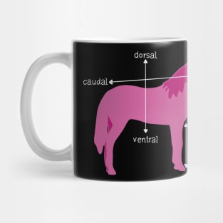 Medical Dimensions Explained On A Unicorn Mug